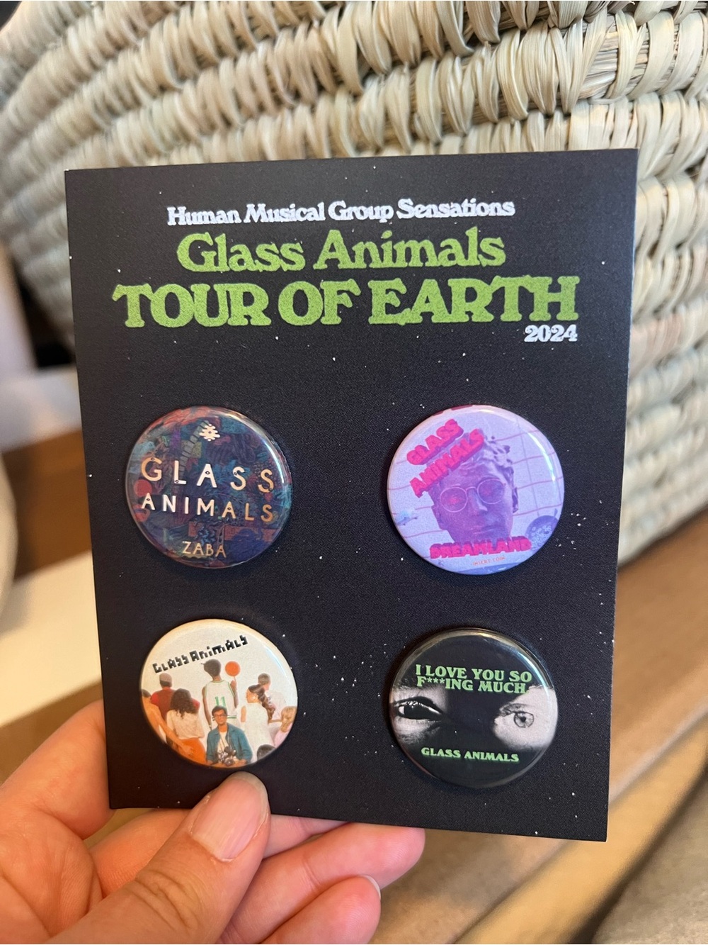 Glass Animals Tour of Earth Bandana and Pins Set - Picture 2 of 3
